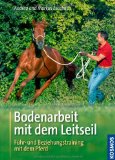  - Freie Bodenarbeit mit dem Pferd: Kommunikation und Körpersprache