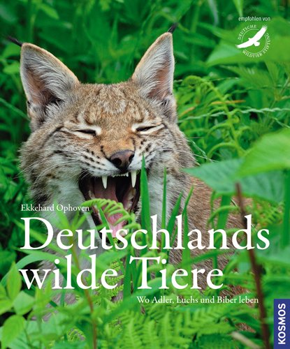  - Deutschlands wilde Tiere: Wo Adler, Dachs und Biber leben: Wo Adler, Luchs und Biber leben