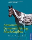  - Stresspunktmassage nach Jack Meagher: Mit Triggerpunkt-Behandlung und Dry Needling