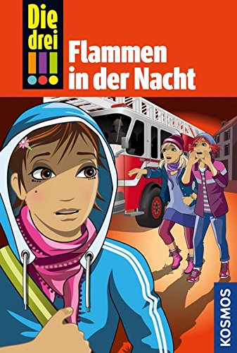  - Die drei !!!, 63, Flammen in der Nacht