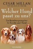  - Familienhunde: 50 Rassen, die passen