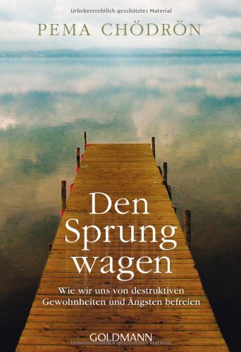  - Den Sprung wagen: Wie wir uns von destruktiven Gewohnheiten und Ängsten befreien