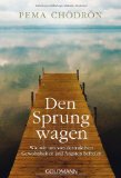 Chödrön, Pema - Wenn alles zusammenbricht: Hilfestellung für schwierige Zeiten