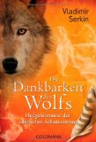  - Das weiße Land der Seele