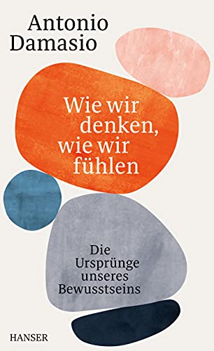 Damasio, Antonio, Vogel, Sebastian - Wie wir denken, wie wir fühlen: Die Ursprünge unseres Bewusstseins