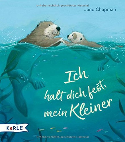 Chapman, Jane - Ich halt dich fest, mein Kleiner