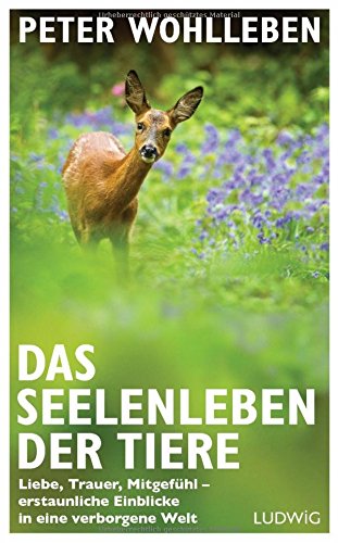 Wohlleben, Peter - Das Seelenleben der Tiere: Liebe, Trauer, Mitgefühl - erstaunliche Einblicke in eine verborgene Welt