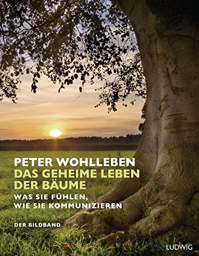 Wohlleben, Peter - Das geheime Leben der Bäume: Was sie fühlen, wie sie kommunizieren. Der Bildband. Mit dem vollständigen Text der Originalausgabe