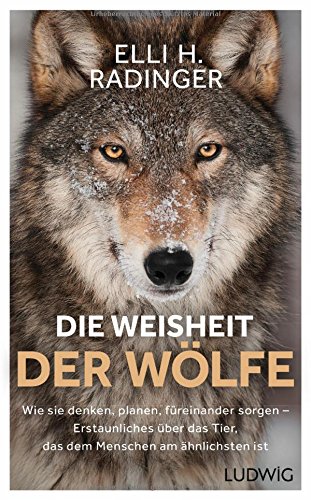 Radinger, Elli H. - Die Weisheit der Wölfe: Wie sie denken, planen, füreinander sorgen. Erstaunliches über das Tier, das dem Menschen am ähnlichsten ist