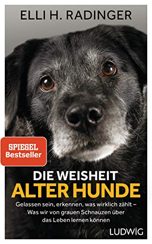 Radinger, Elli H. - Die Weisheit alter Hunde: Gelassen sein, erkennen, was wirklich zählt – Was wir von grauen Schnauzen über das Leben lernen können