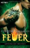  - Feuer - Verborgene Sehnsucht: Feuer 2