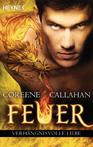  - Feuer - Verhängsnisvolle Liebe: Feuer 4 - Roman