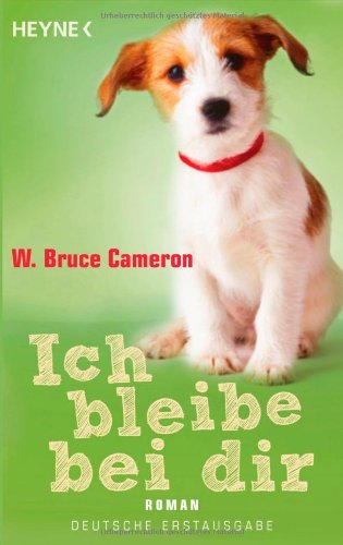 - Ich bleibe bei dir: Roman