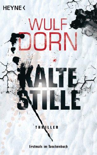  - Kalte Stille: Roman