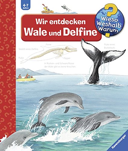  - Wir entdecken Wale und Delfine (Wieso? Weshalb? Warum?, Band 41)