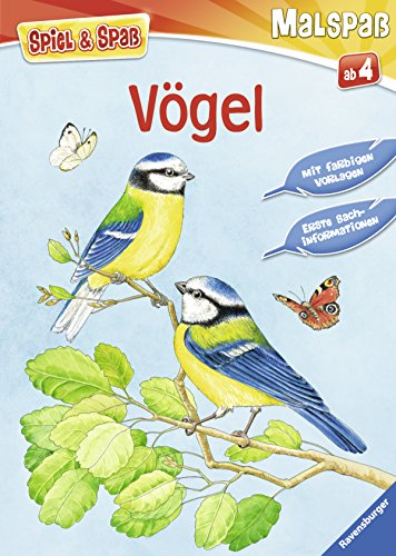 - Spiel & Spaß - Malspaß: Vögel