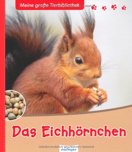 - Das Eichhörnchen