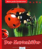  - Die Schnecke