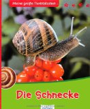  - Meine große Tierbibliothek: Der Regenwurm