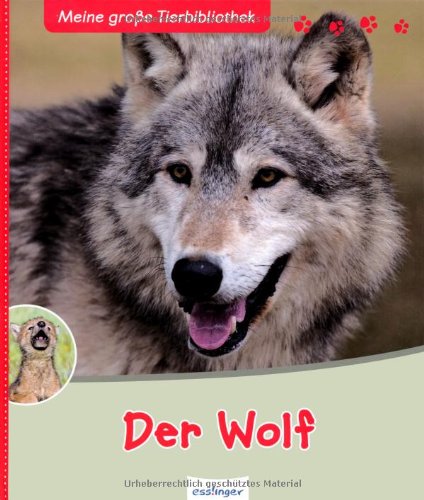  - Der Wolf