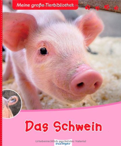  - Das Schwein