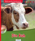 - Kühe: Liebenswürdige Wiederkäuer