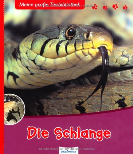  - Die Schlange: Meine große Tier-Bibliothek
