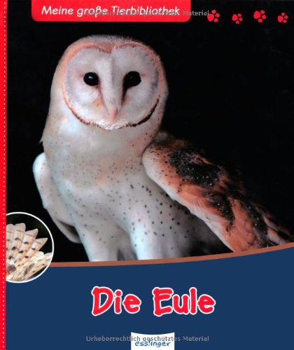  - Die Eule