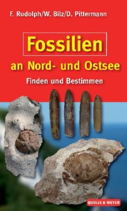  - Fossilien an Nord- und Ostsee: Finden und Bestimmen