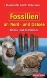  - Noch mehr Strandsteine: Sammeln und Bestimmen an Nord- und Ostsee