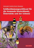  - Und sie fliegt doch: Eine kurze Geschichte der Hummel