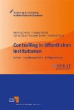  - Strategische Steuerung in öffentlichen Institutionen: Politische Ziele - Strategieentwicklung - Erfolgsfaktoren