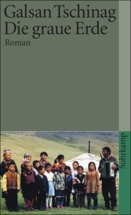  - Die graue Erde: Roman (suhrkamp taschenbuch)