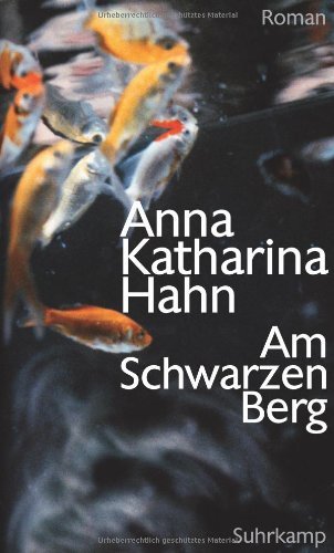  - Am Schwarzen Berg: Roman