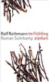 Rothmann, Ralf - Der Gott jenes Sommers: Roman