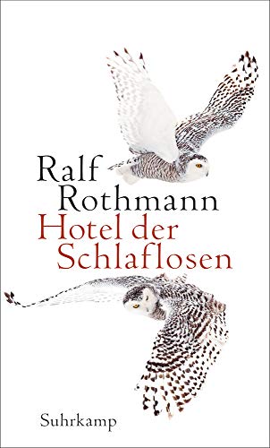 Rothmann, Ralf - Hotel der Schlaflosen: Erzählungen