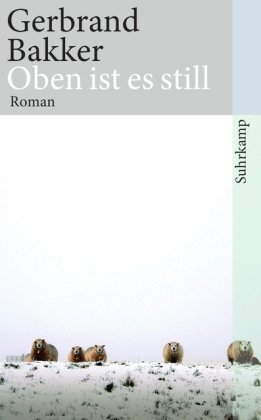 - Oben ist es still: Roman (suhrkamp taschenbuch)