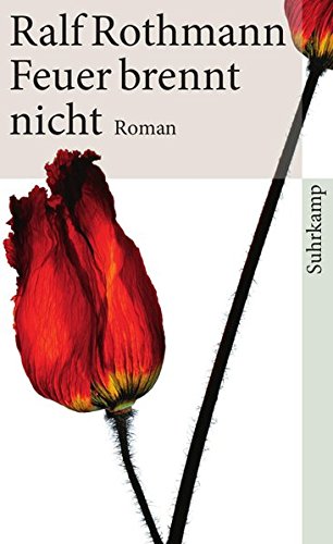  - Feuer brennt nicht: Roman (suhrkamp taschenbuch)