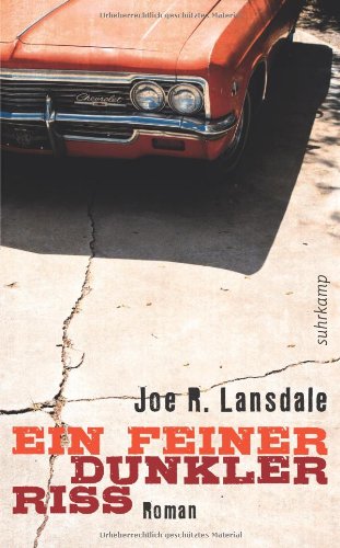 - Ein feiner dunkler Riss: Roman (suhrkamp taschenbuch)