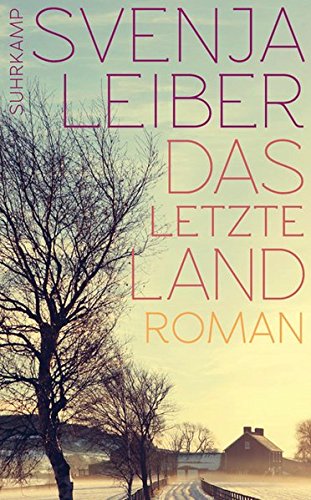 - Das letzte Land: Roman (suhrkamp taschenbuch)
