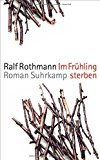 Rothmann, Ralf - Der Gott jenes Sommers: Roman