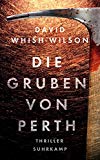  - Die Ratten von Perth: Thriller (Swann-Trilogie)