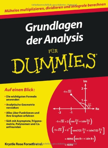 - Grundlagen der Analysis für Dummies (Fur Dummies)
