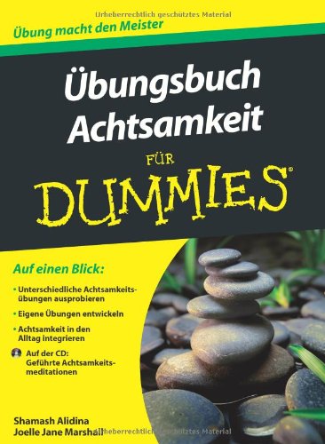- Übungsbuch Achtsamkeit für Dummies (Fur Dummies)