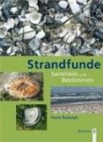  - Strandfunde für Kids