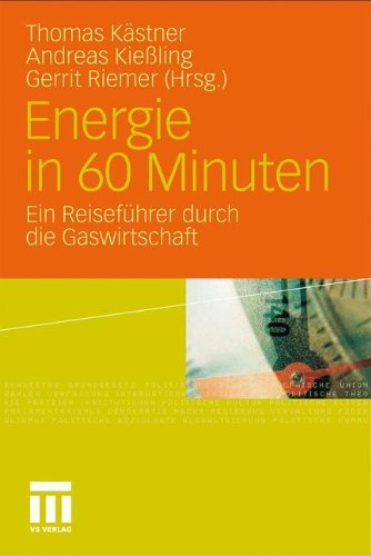 - Energie in 60 Minuten: Ein Reiseführer durch die Gaswirtschaft: Ein Reiseführer durch die Gaswirtschaft. Mit einem Vorwort von Günther Öttinger
