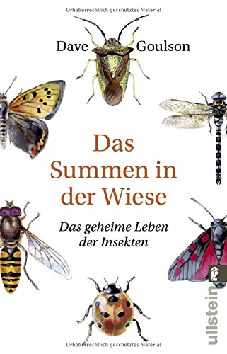 - Das Summen in der Wiese: Das geheime Leben der Insekten