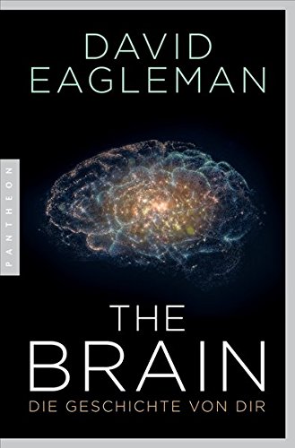 Eagleman, David - The Brain: Die Geschichte von dir