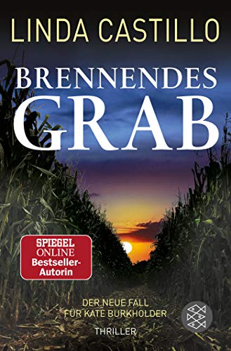 - Brennendes Grab (Kate Burkholder ermittelt)