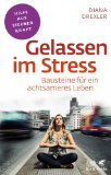  - Das integrierte Streß-Bewältigungsprogramm ISP: Manual und Materialien für Therapeuten und Berater